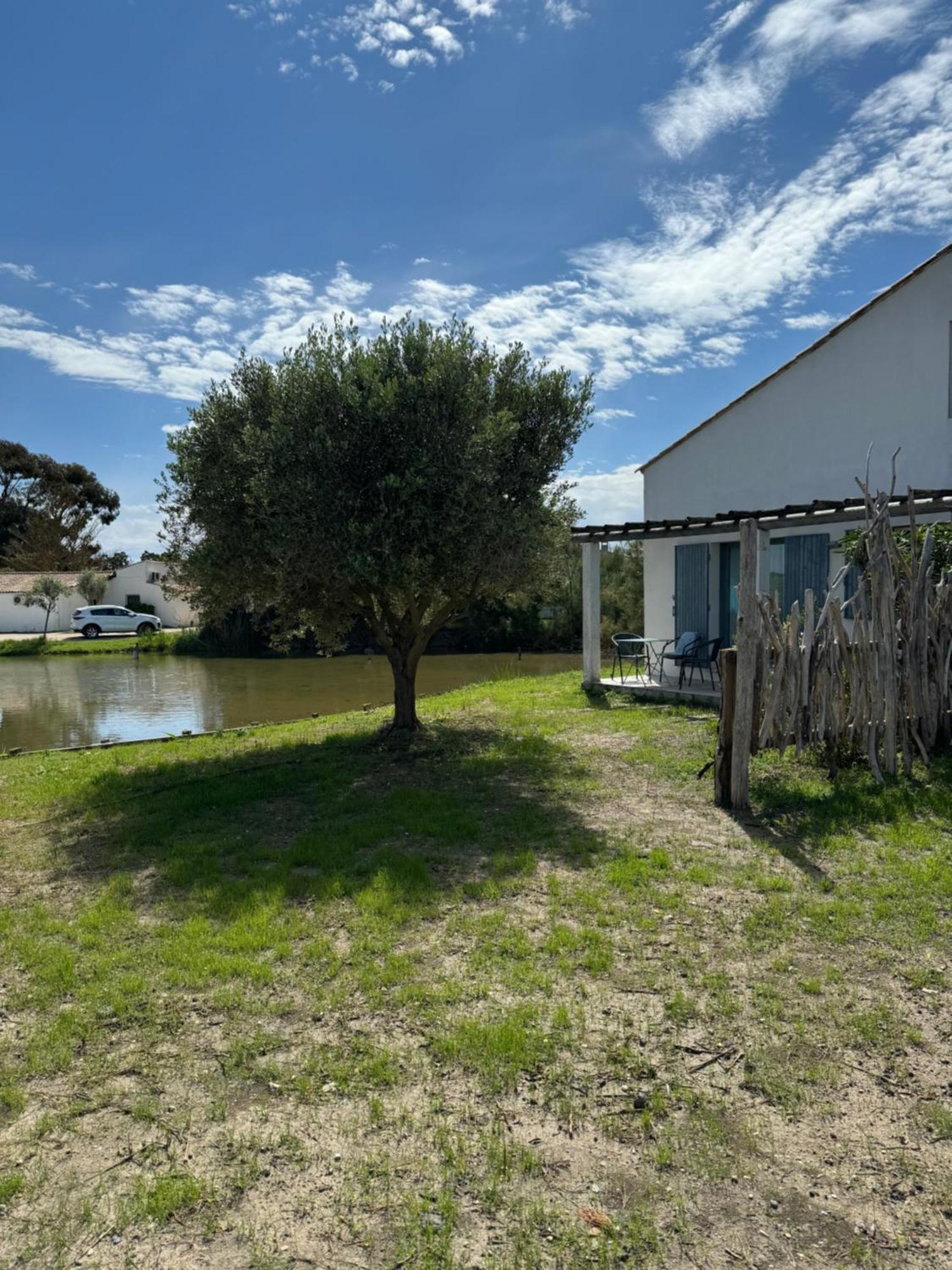 Le Mas Des Sagnes Saintes-Maries-de-la-Mer Exterior foto